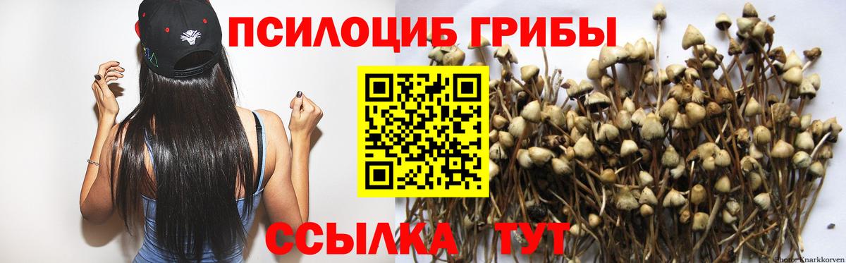 Псилоцибиновые грибы мицелий Новоуральск